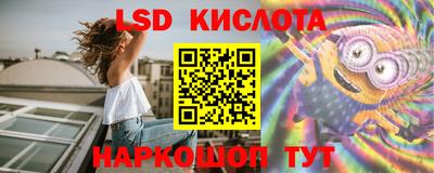 СК Можга