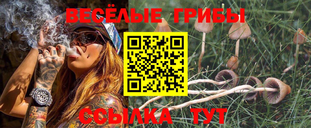 Галлюциногенные грибы Psilocybe  Вход с VPN  Псилоцибиновые грибы ЛСД  купить наркоту  Солнечногорск 